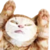 😻
