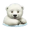 🐻‍❄️