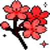 🌺