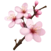 🌸