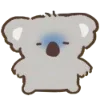 🐨