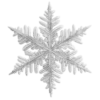 ❄️