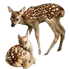 🦌