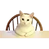 ⁉️