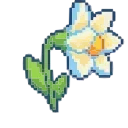 🌻