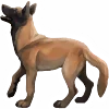 🐶