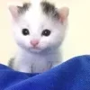 🥛