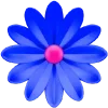 🌺