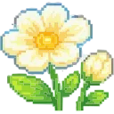 🌼