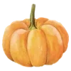 🎃