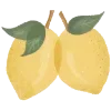 🍋