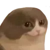 🐸