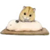 🐹