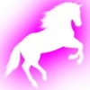 🐎