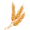 🌾