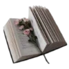 📖