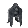 🦍