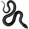 🐍
