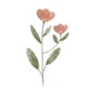 🌷