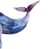 🐋