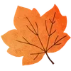 🍁
