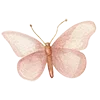 🦋