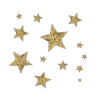 ✨