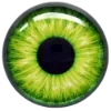 👁