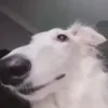 👀