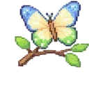 🦋