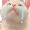 😭