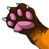 🐾