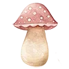 🍄
