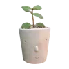🌱