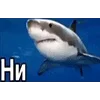 🦈