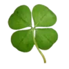 🍀