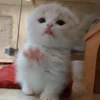 😚