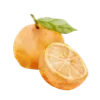 🍊