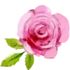 🌹