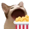 🍿