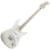 🎸