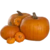 🎃