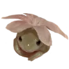 🐸