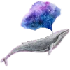 🐋