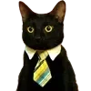 💼
