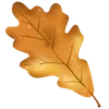 🍂