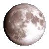 🌓