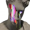🎨