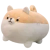 🐶