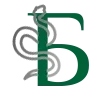 🐍